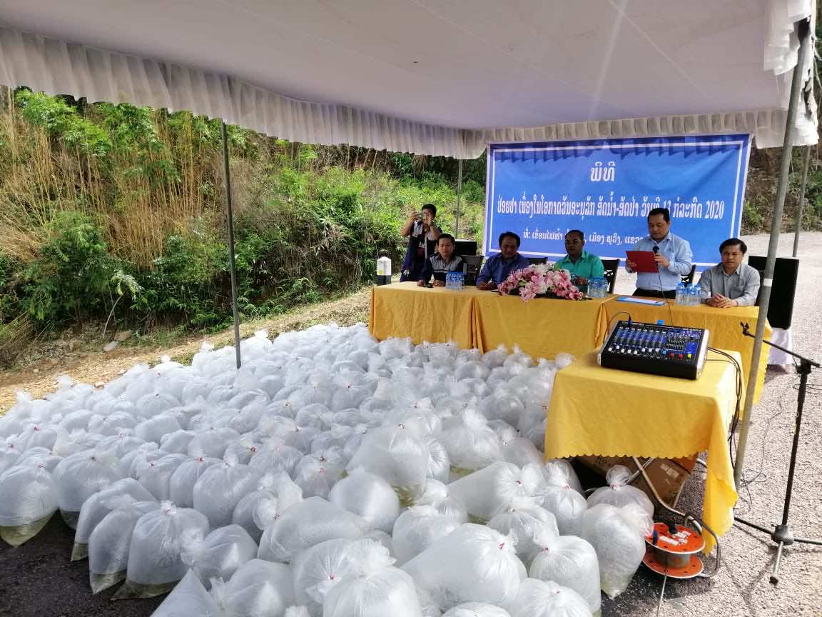 Nam Kong 2 released fish on National Wildlife and Aquatic Animal Conservation Day